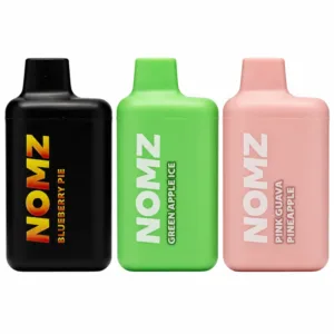 Nomz Mini 2K Disposable Vape (5%, 2000 Puffs)